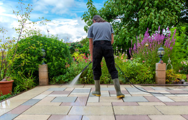 Best Animal Enclosure Cleaning  in Houston, TX